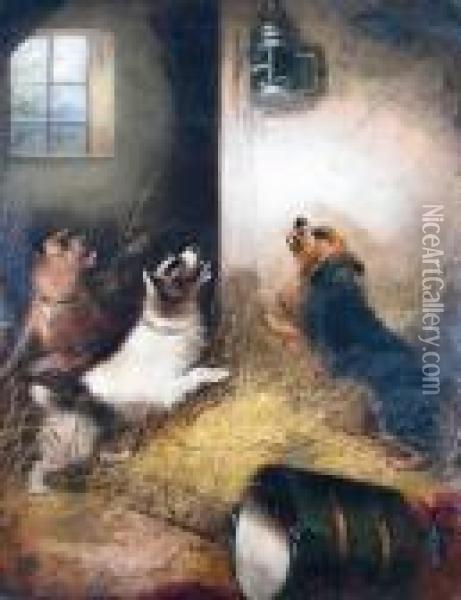 Terriers Ratting In A Stable Oil Painting - George Armfield
