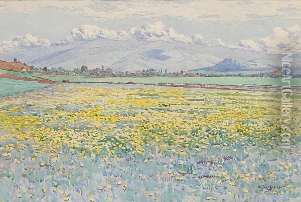 A Field Of Wildflowers, 1914 Oil Painting - Gunnar M. Widforss