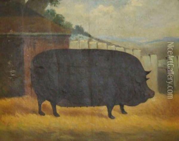 A Prize Pig Oil Painting - William Henry Davis