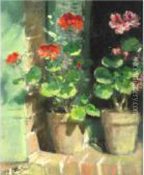Geraniums Oil Painting - Pierre Eugene Montezin