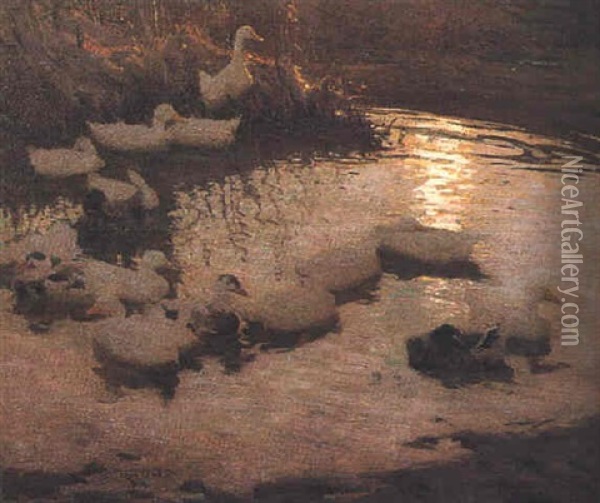 Ducks On A Pond Oil Painting - Frederick Hall
