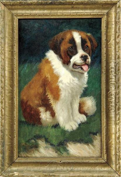 St. Bernard Pup Oil Painting - Sydney Lawrence Brackett