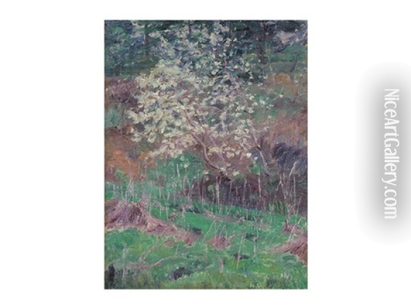 Tree And Weed Oil Painting - Saburosuke Okada