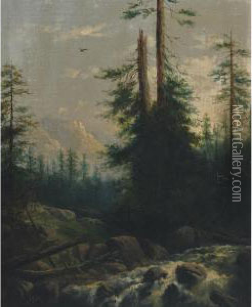 A Rocky Mountain Stream Oil Painting - Henry Nesbitt Mcevoy
