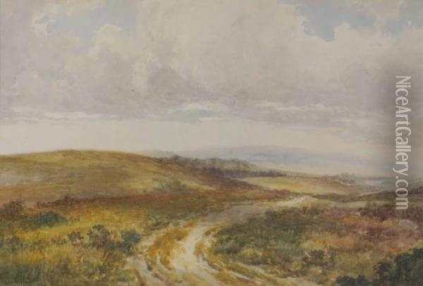 The Road Across The Downs Oil Painting - Claude Hayes