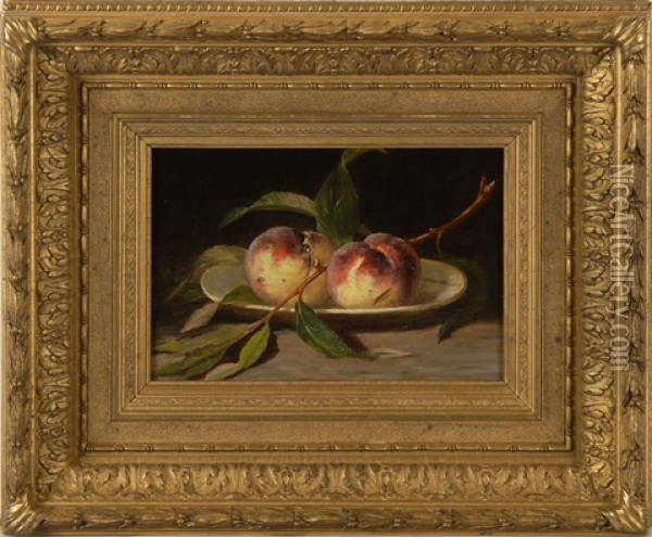 Still Life Of Fruit Oil Painting - Mary Jane Peale