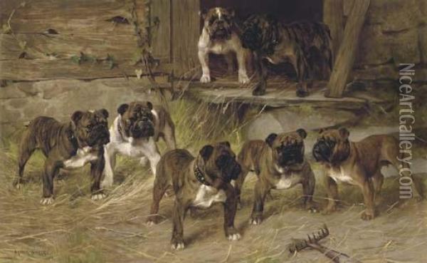 Bulldogs Of The Twentieth Century Oil Painting - Arthur Wardle