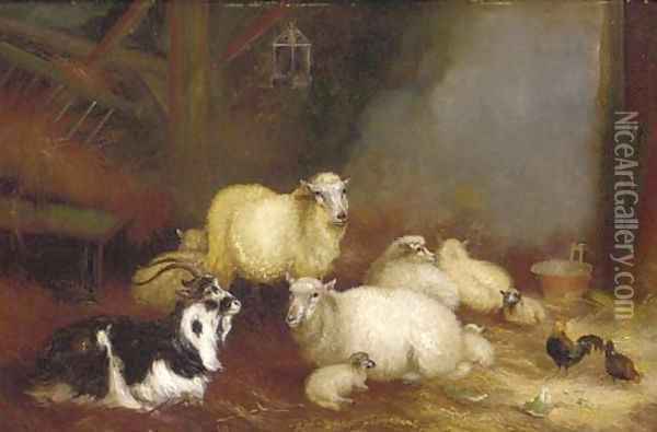 Sheep, chickens and a goat in a barn Oil Painting - A. Jackson