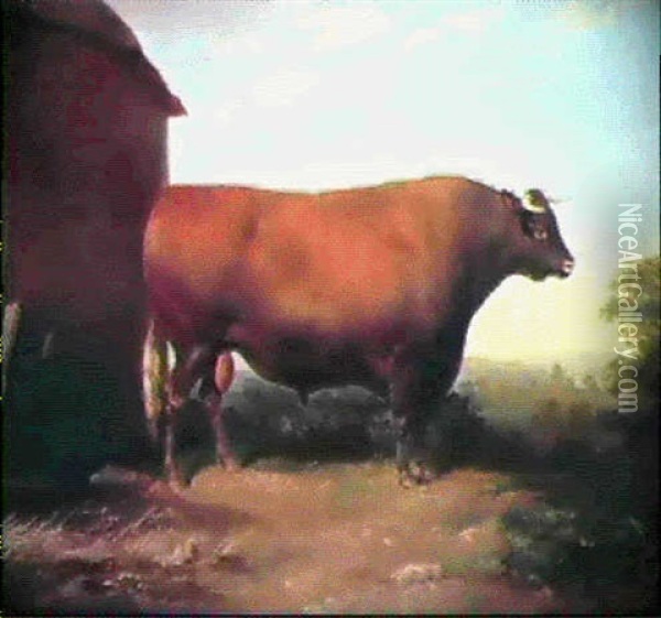 Shorthorn Bull [&] Shorthorn Cow Oil Painting - Thomas Mogford