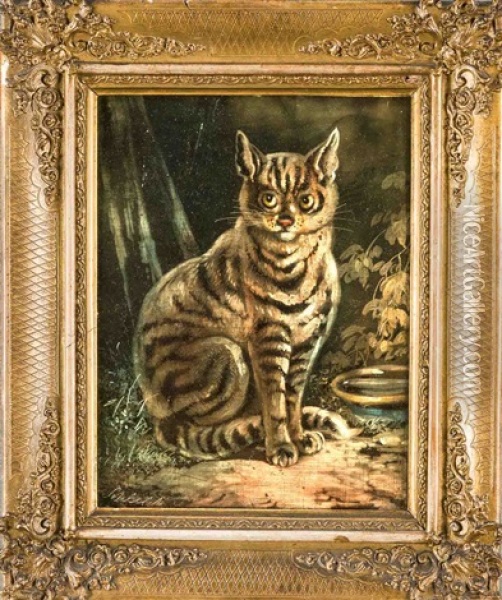 Vor Einer Schussel Im Garten Sitzende, Getigerte Katze Oil Painting - August Schleich
