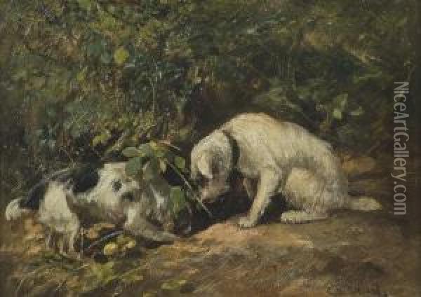 Terriers On The Hunt, Furrowing In A Hole Oil Painting - Cuthbert Edmund Swan