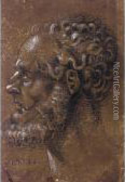 Head Of A Bearded Man, Seen In Profile Oil Painting - Hans Baldung Grien