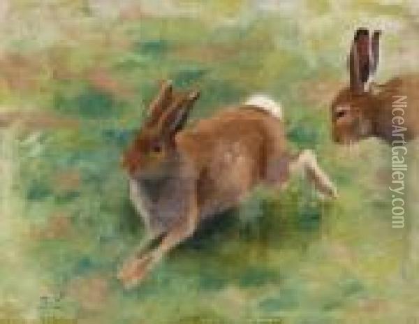 Summer Hares Oil Painting - Bruno Andreas Liljefors