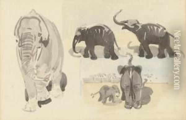 Studies Of Elephants Oil Painting - Joseph Ii Crawhall