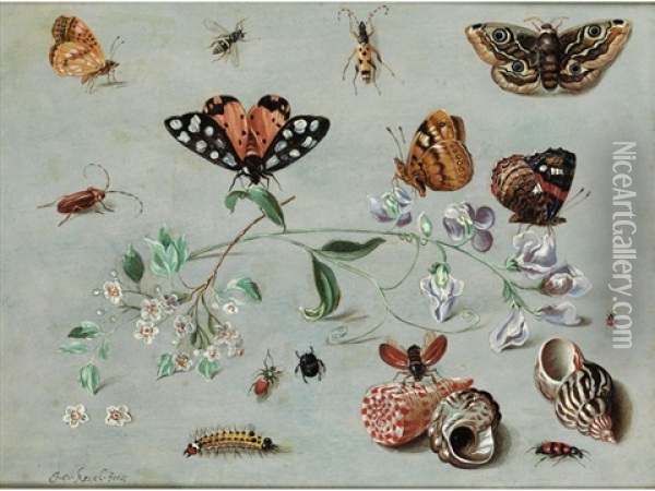 Blutenzweige Umgeben Von Insekten Und Muscheln Oil Painting - Jan van Kessel the Elder