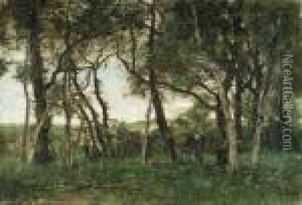 In The Wood
Oil On Canvas Oil Painting - Theophile Emile Achille De Bock