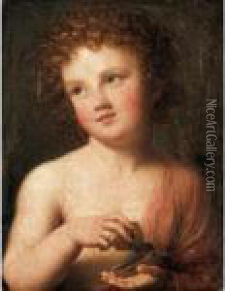 The Christ Child Holding A Butterfly Oil Painting - Anton Raphael Mengs