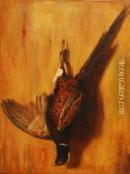 Still Life Dead Cock Pheasant Pinned To A Wall Oil Painting - Landseer, Sir Edwin