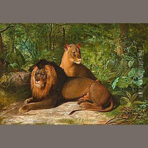 Lion And Lioness Oil Painting - James Henry Beard