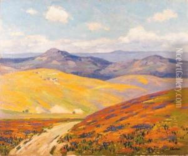 Springtime In Foothills Of The Tehachapi Mountains,california Oil Painting - Ferdinand Kaufmann