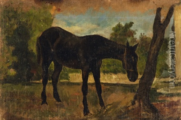 Cavallo Legato All'albero Oil Painting - Ruggero Panerai
