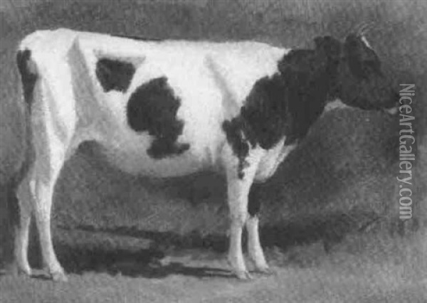 Study For A Cow Oil Painting - Rosa Bonheur