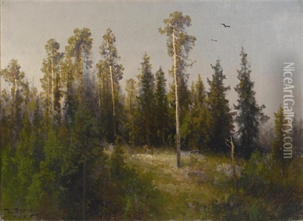 Group Of Pine Trees Oil Painting - Hermann Herzog