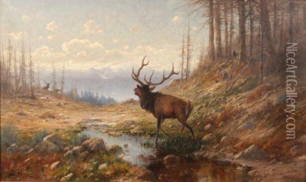 Bugling Elk Oil Painting - John Fery