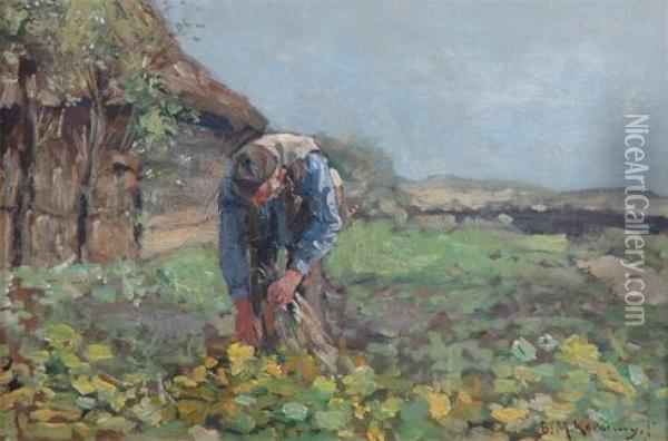 A Man In A Vegetable Garden Oil Painting - Bernard Marie Koldeweij
