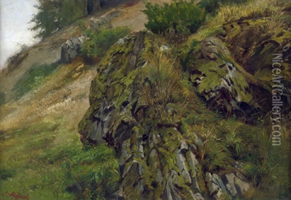 Harzlandschaft Mit Bemoosten Felsen Oil Painting - Carl Constantin Steffeck