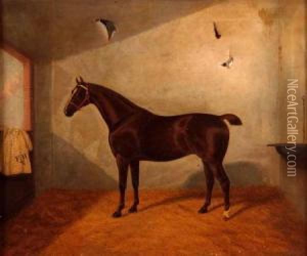Racehorse In A Stable Oil Painting - A. Clark