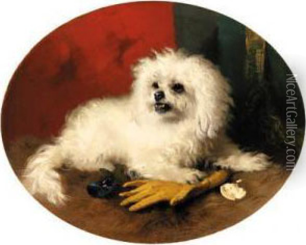 A Maltese Terrier Oil Painting - George W. Horlor