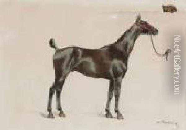 Cheval Au Licol Rouge Oil Painting - Charles Fernand de Condamy