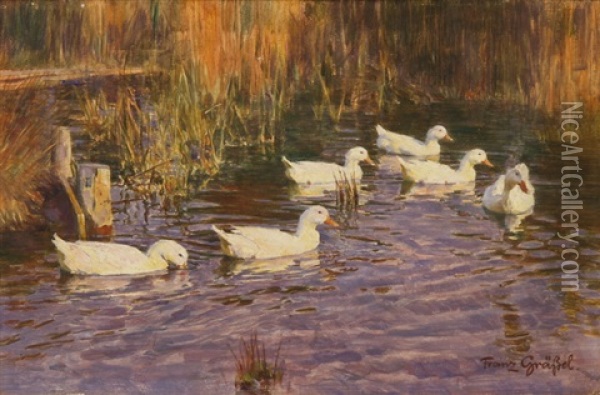 Im Abendsonnenschein Oil Painting - Franz Graessel