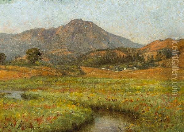 Poppies Beneath Mt. Tamalpais Oil Painting - William Barr