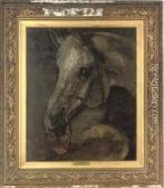 An Arab Horse Oil Painting - Benjamin Robert Haydon