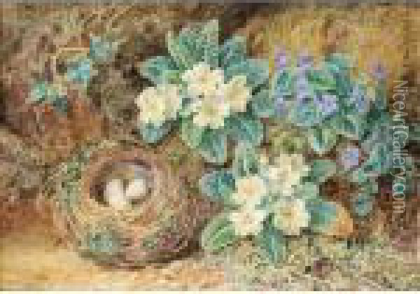 Still Life Of Bird's Nest With Primroses And Ivy Oil Painting - Thomas Collier