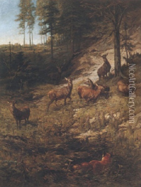 Hirsche Und Fuchs Am Waldhang Oil Painting - Franz Xaver von Pausinger