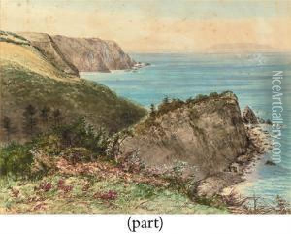 On The Cliffs Oil Painting - Henry Sandercock