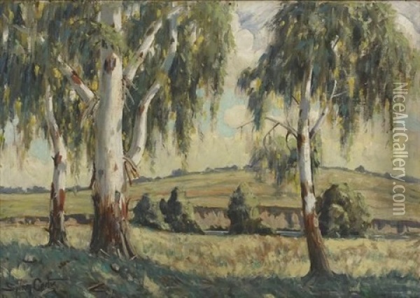 Blue Gum Trees In A Landscape Oil Painting - Sydney Carter