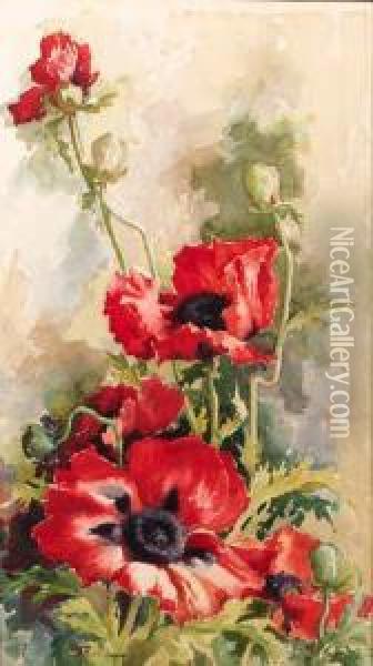 Blossoming Poppies Oil Painting - Ernest Filliard