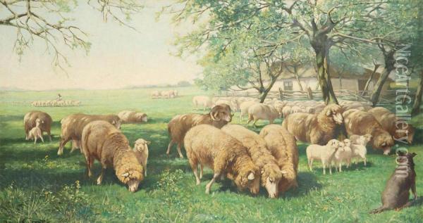 Sheep In The Meadow Oil Painting - Franz Geerts