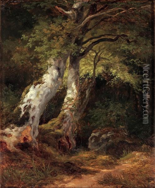 Forest Landscape Oil Painting - Edvard Bergh