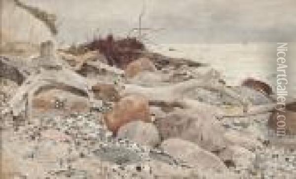 An Der Steilkuste Von Rugen Mit Blick Auf Die Ostsee Oil Painting - Walter Moras