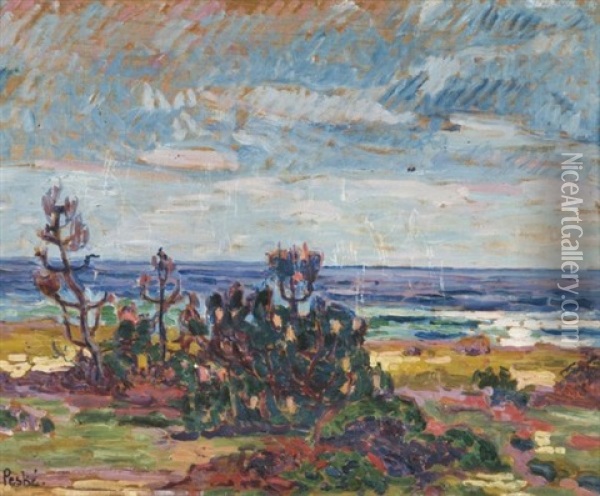 Paysage De Mediterranne Oil Painting - Jean Peske