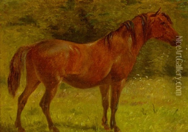 Hest I Landskab Oil Painting - Simon Simonsen