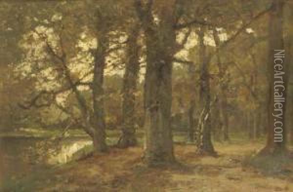 Vijver In 't Haags Bosch: A Pond In A Forest Oil Painting - Frits Mondriaan