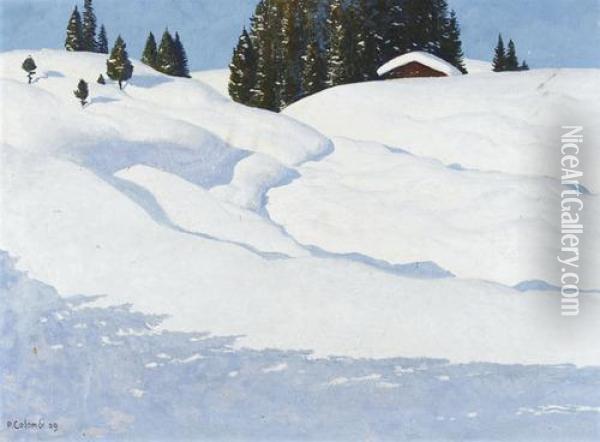 Sonnige Winterlandschaft Oil Painting - Plinio Colombi