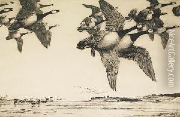 Barnacle Geese Alarmed Oil Painting - George Marples