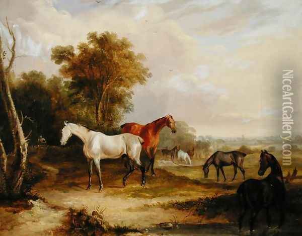 Horses Grazing- A Grey Stallion grazing with Mares in a Meadow Oil Painting - Francis Calcraft Turner